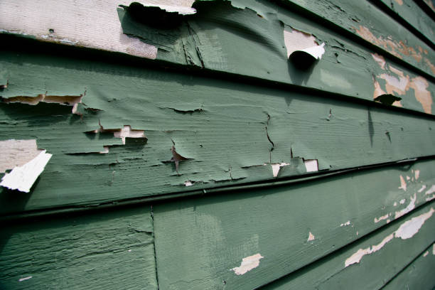 Best Demolition Debris Removal  in Chaffee, MO