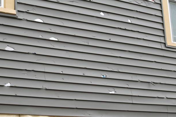 Best Dumpster Rental Services  in Chaffee, MO